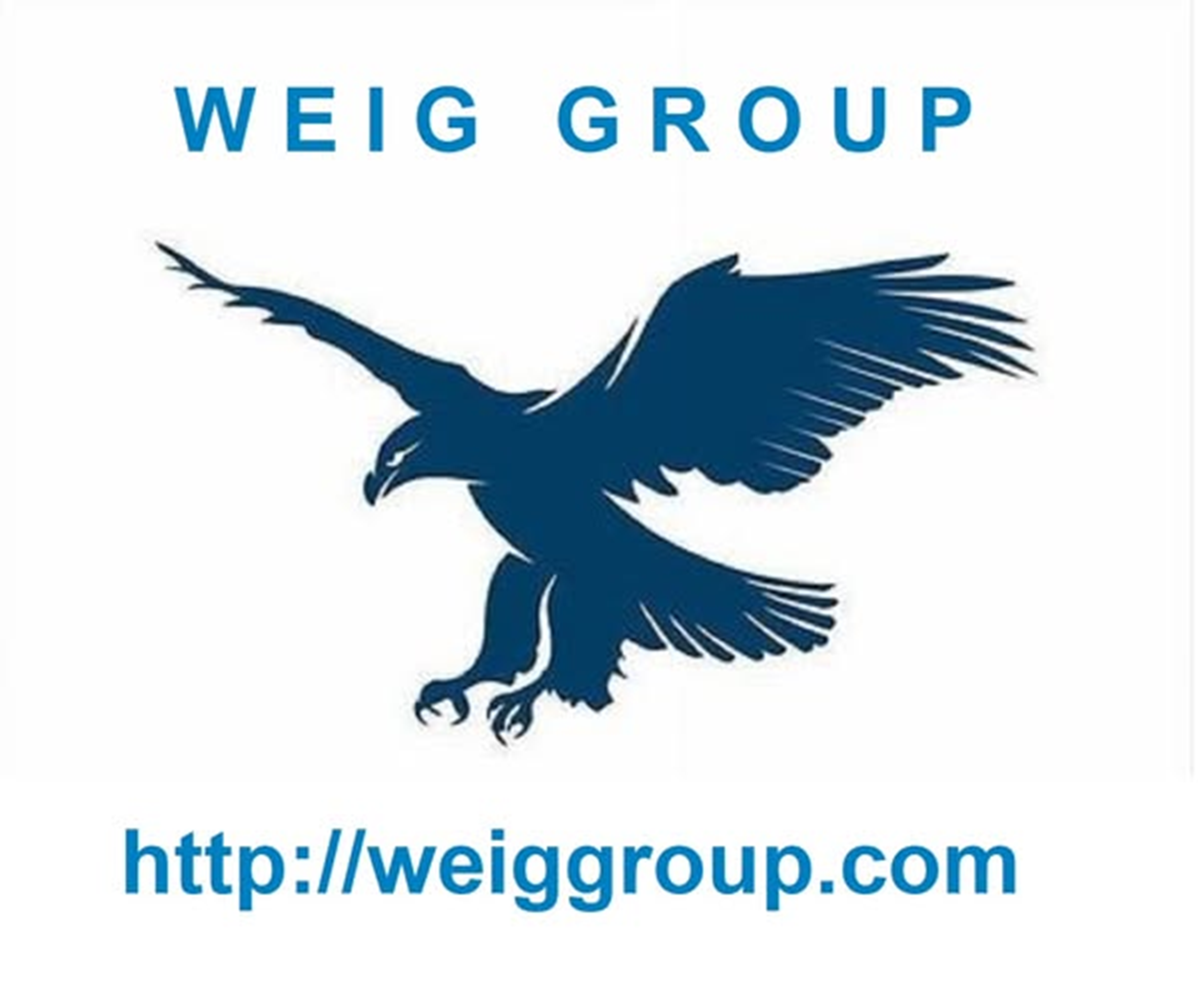 weiggroup 200